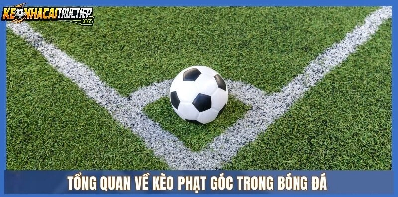 Đánh Giá Chênh Lệch Trình Độ Giữa Hai Đội